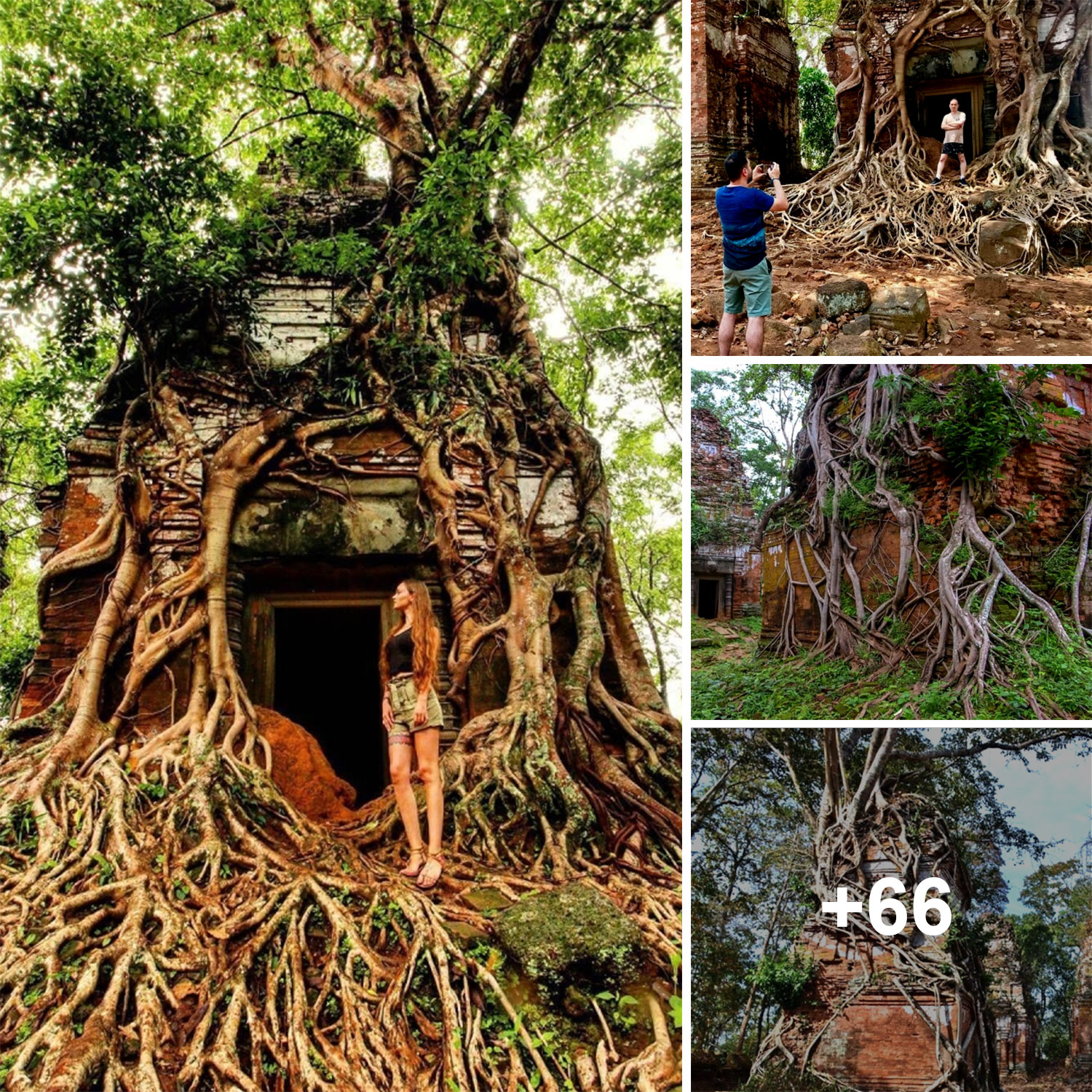 Unveiling The Hidden Gem Of Cambodia: The Pyramid Hidden Among Tree 